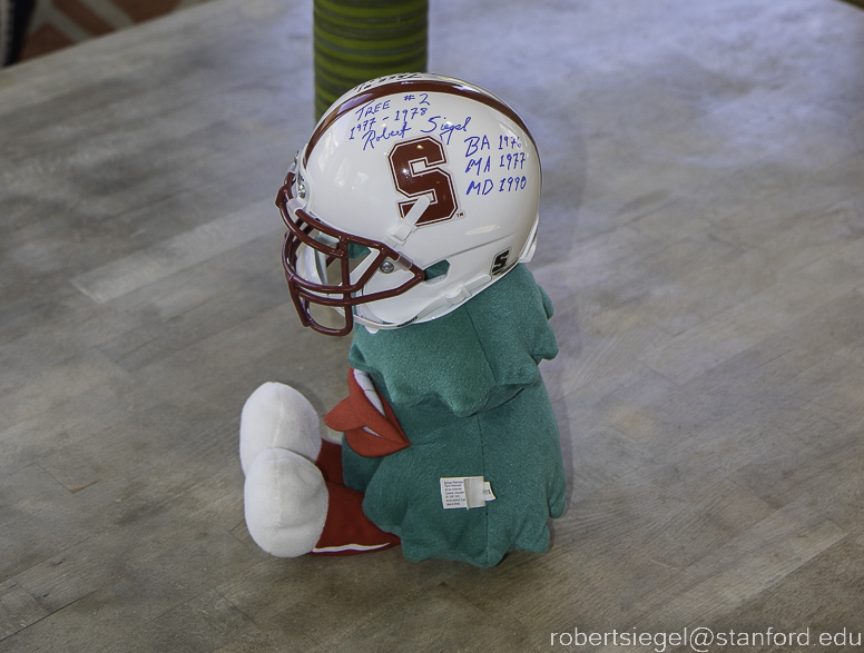 stanford mini-helmet